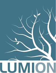 Lumion software logo used in Bonarch Draft's BIM and drafting workflow